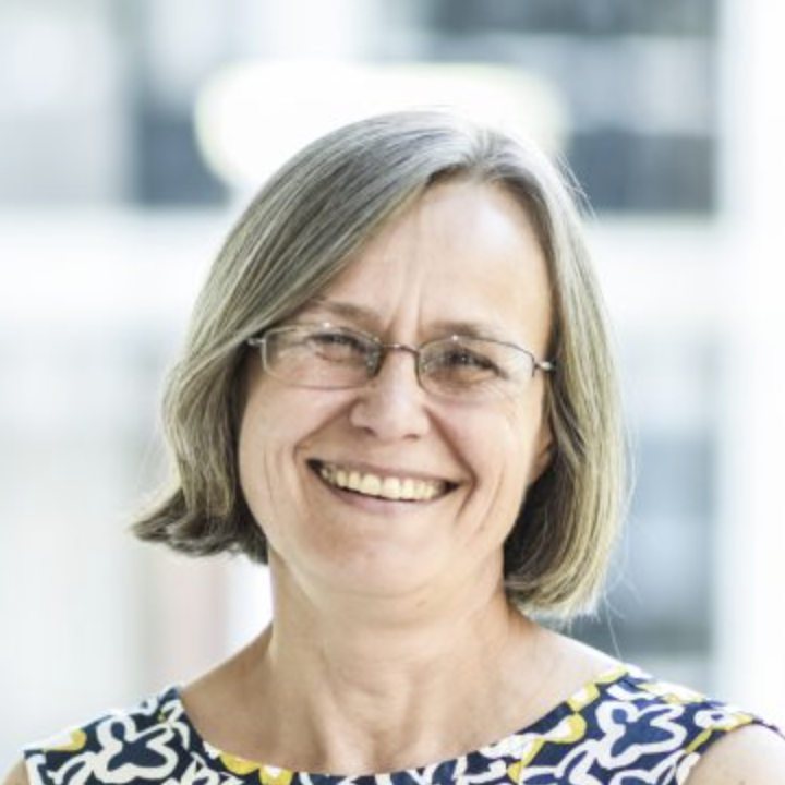 Diana Mitlin, IIED