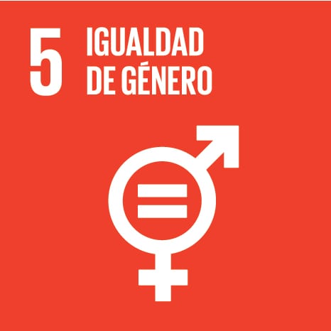 Igualdad genero
