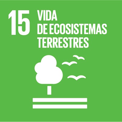 Vida ecosistemas