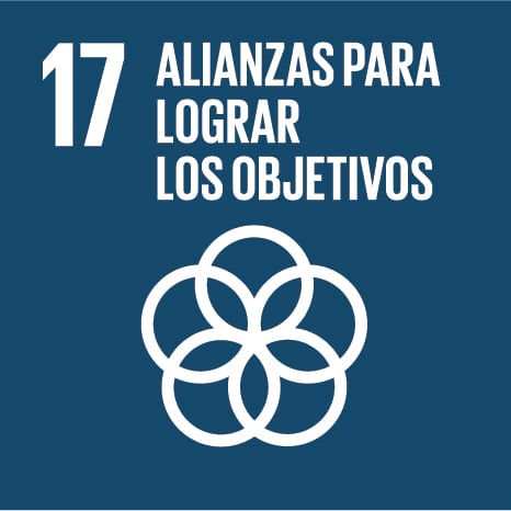 Alianzas objetivos
